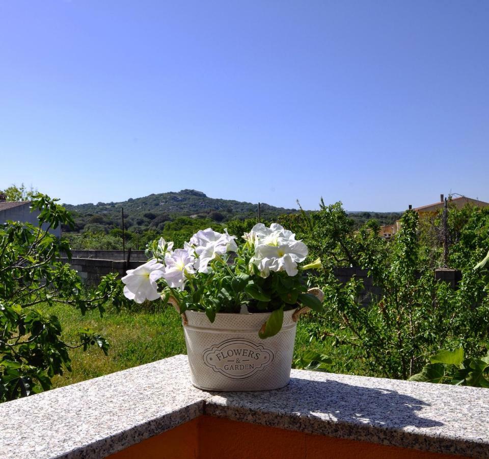 Apartamento Casa Duminicheddha, Mare E Relax In Gallura Bassacutena Exterior foto