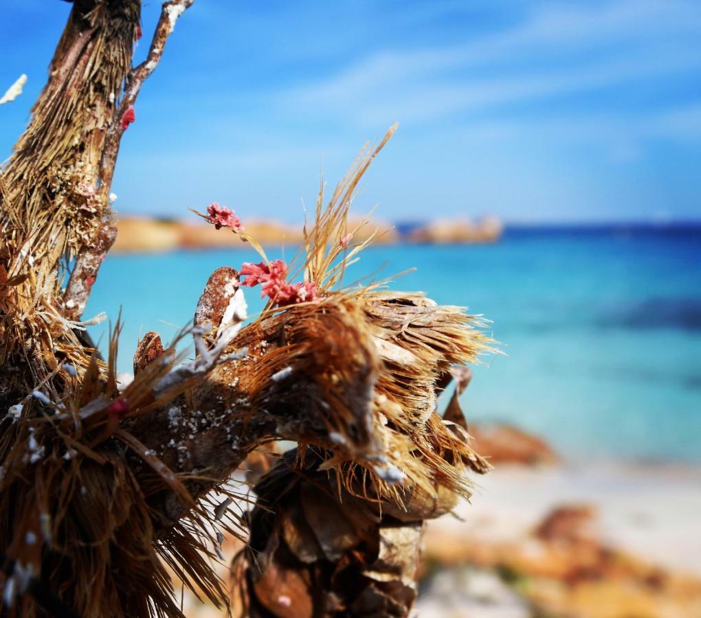 Apartamento Casa Duminicheddha, Mare E Relax In Gallura Bassacutena Exterior foto